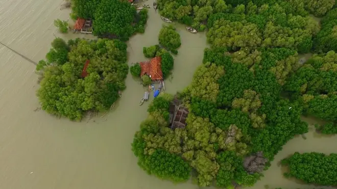 Desa Bedono, Demak, Jawa Tengah