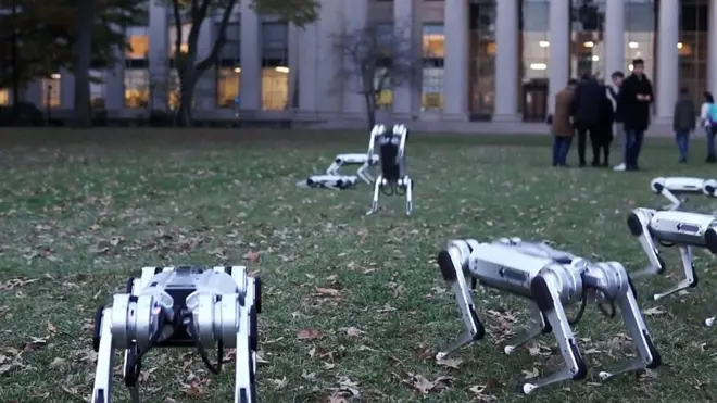 Девять четвероногих роботов исполнили сальто назад.