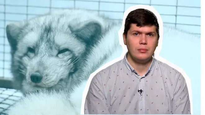 5 проблем із захистом тварин в Україні