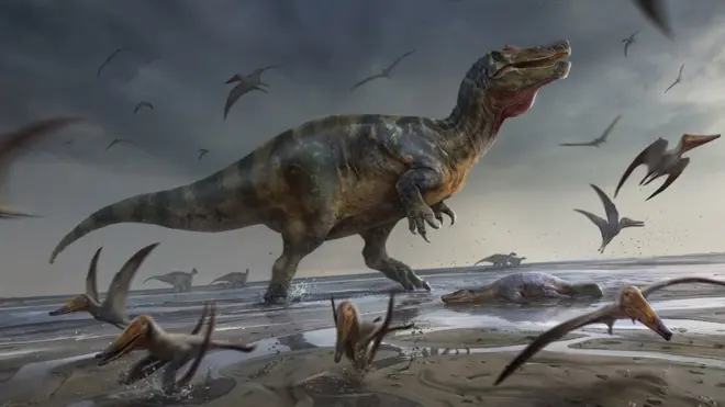 The "White Rock spinosaurid", as it has been dubbed, was a two-legged, crocodile-faced predatory dinosaur