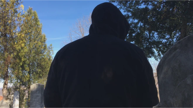 Радник Горице