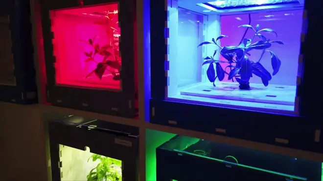 كيف يتنبأ الذكاء الاصطناعي بمستقبل الزراعة؟