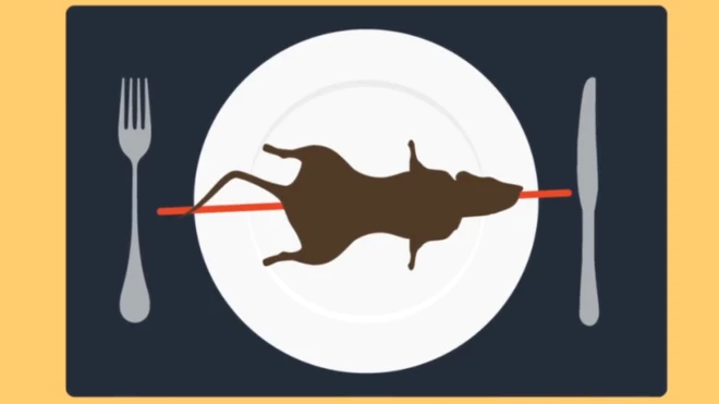 Awọran ekute ninu awo