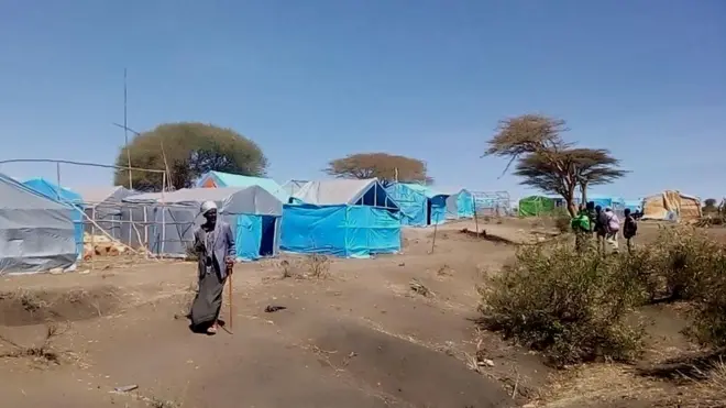 Buufataa buqqaatotaa