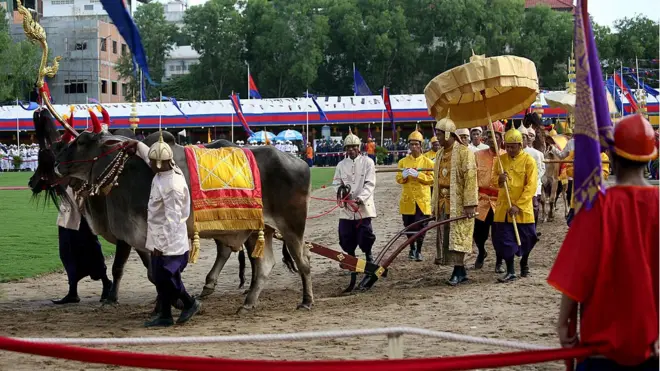 royal ploughing ceremony in Cambodia 2014