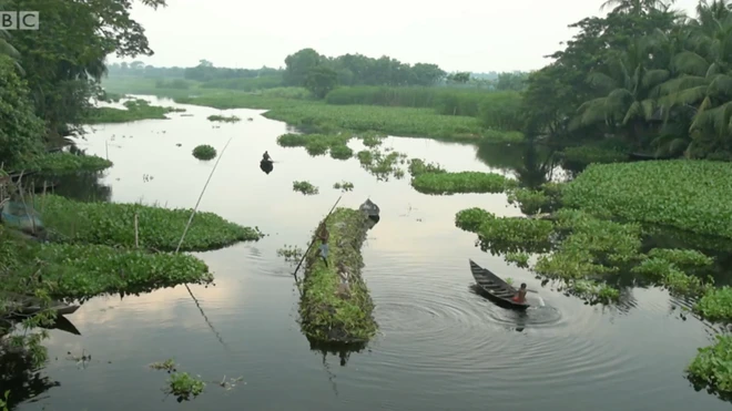 المزارعين في بنغلادش يلجئون للمزارع العائمة لحماية مصدر رزقهم