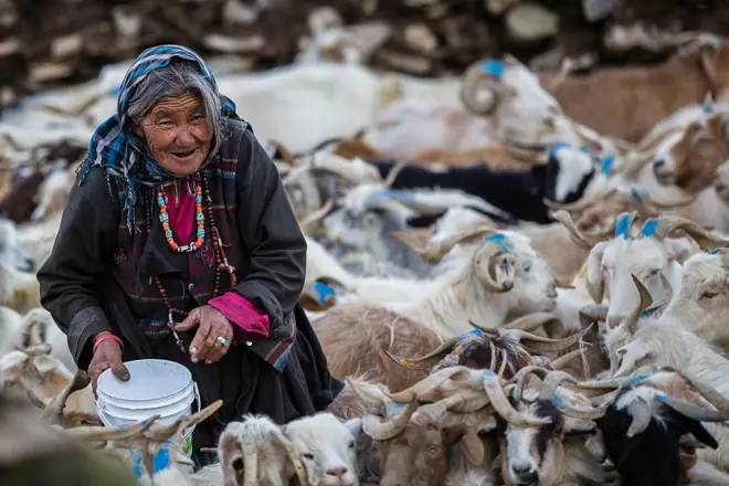 یوه شپنه د همالیا په څنډو کې