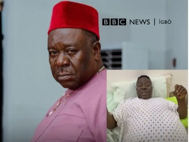 Mr Ibu