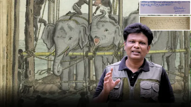 ලී කොටන් යොදා සකස් කළ මඩුවක් තුළ අලි අල්ලා ගැටගසා ඇති අයුරු චිත්රයේ දැක්වෙන අතර කළු පති ටී ෂර්ට් එකක් ඇඳ සිටින අයෙකු පෙනේ.