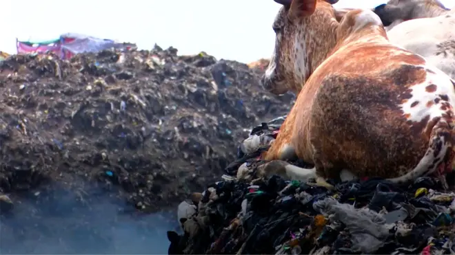 смітник з "секонду"