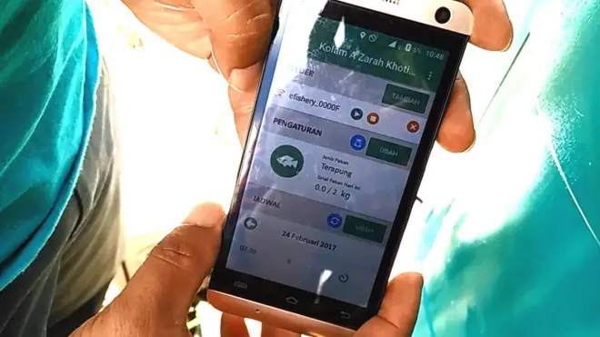 Alat eFishery terhubung dengan aplikasi khusus, yang berisi pola pemberian pakan berbasis algoritma untuk empat komoditas budidaya.