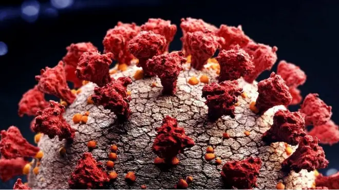 कोरोना वायरस