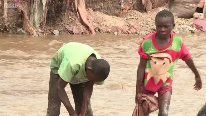 ኣረይቲ ኮባልት