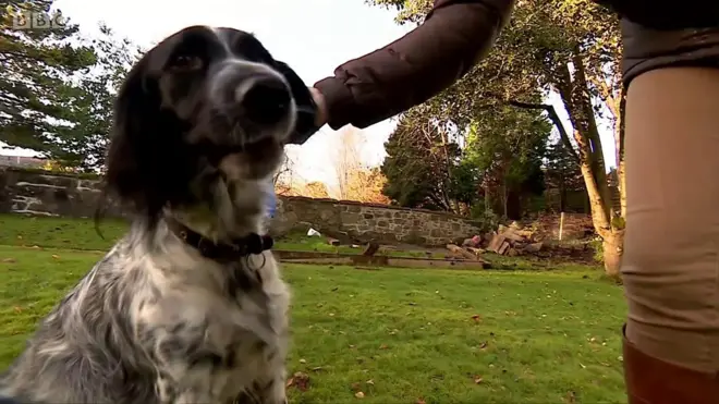 Отрастили кость: как лечение Евы поможет людям