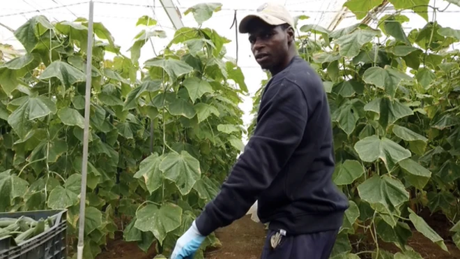 歐洲移民勞工討薪難