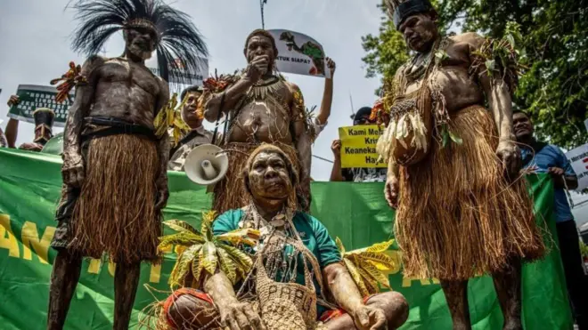 papua, pangan, hutan, politik