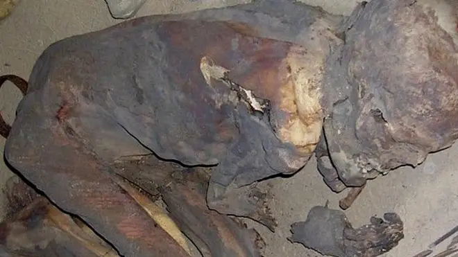 حنوط شدہ لاش