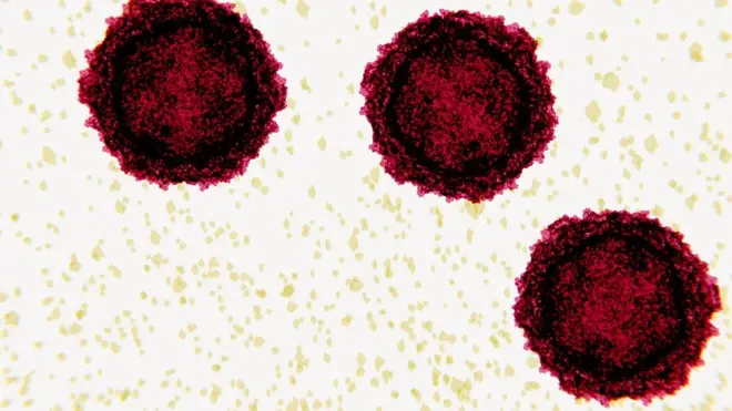 ما هو شلل الأطفال وكيف ينتشر