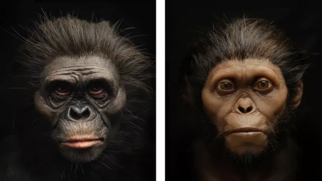 หุ่นจำลองใบหน้าแบบใหม่ของ "ลูซี่" (ซ้าย) และ "เด็กเมืองตาอุง" (ขวา)