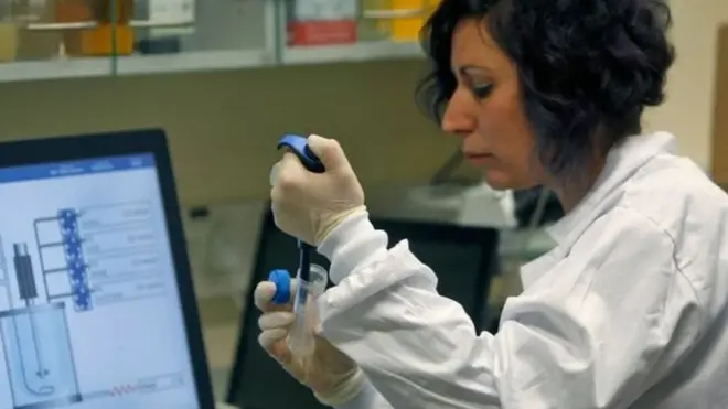 ተመራመርቲ ክታበት ኮሮና ቫይር ኣብ እንስሳታት ይፍትንዎ