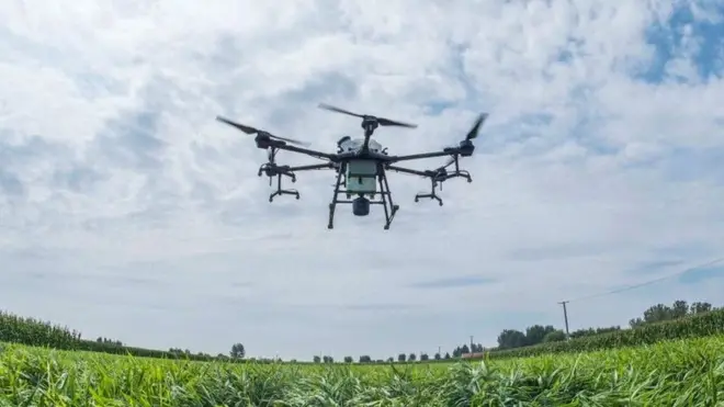 ኣብ ቻይና ከተማ ግዋንዙ ኣብ ግራውቲ ዝንጅብል ፀረ ባልዕ ኬሚካል ትነፅግ ድሮን፡ 6 መስከረም 2020