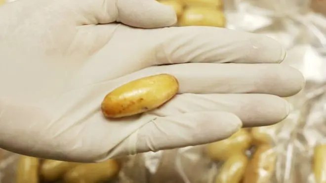 كبسولات الكوكايين ابتلعتها المرأة في البرازيل