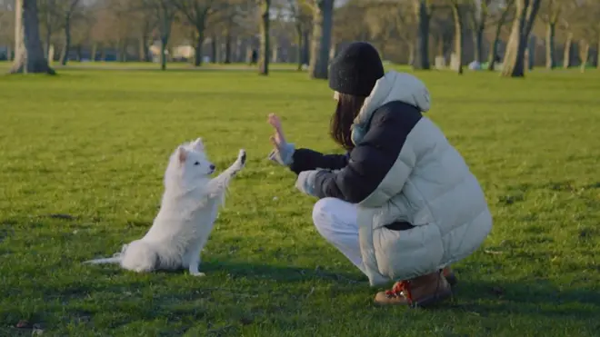 Da li biste klonirali kućnog ljubimca