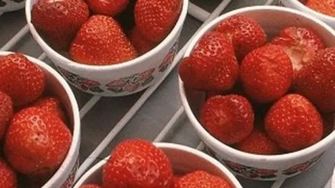 Jagode će se uskoro naći na rafovima ruskih prodavnica