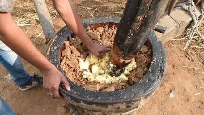 કચરિયાની તસવીર