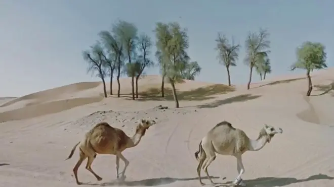 Jacqui Kenny a visité plusieurs pays grâce à Google street view