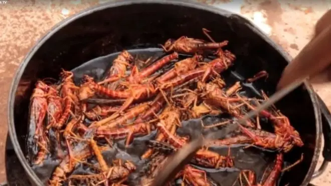 Awwaannisa nyaataaf oole