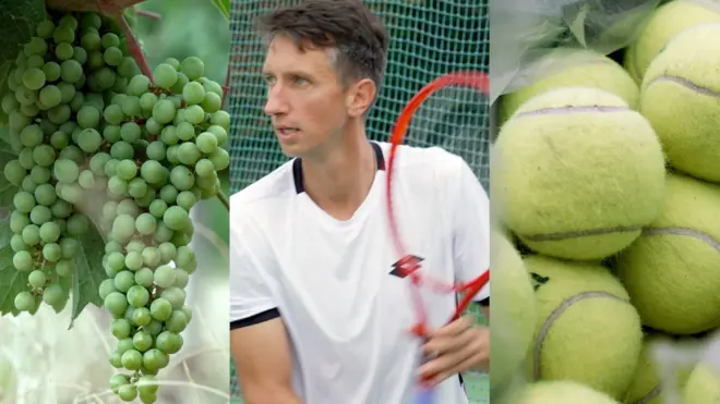 Тенісист Стаховський і його закарпатські вина