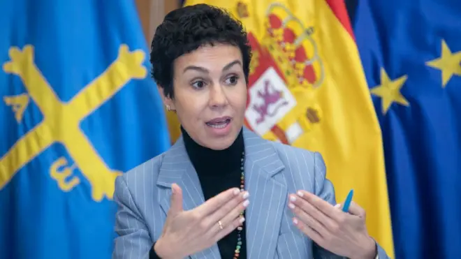 Spain's Secretary of State for Transport Isabel Pardo de Vera is among the top bosses to quit