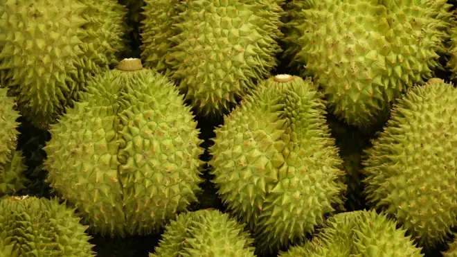 ช่วงเวลานี้ของปี ทุเรียนที่ออกสู่ท้องตลาดเป็นทุเรียนจากภาคใต้