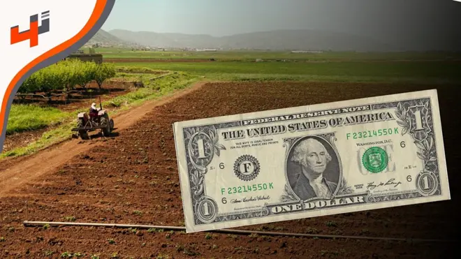 إنتاج سماد عضوي محلياً لتخفيف أزمة الدولار على المزارع اللبناني