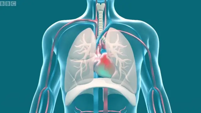 إلى أي حد يضر تلوث الهواء بصحتنا؟