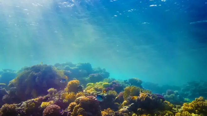 El estudio aporta pruebas claras de la conexión que existe entre las aguas superficiales y las profundas.