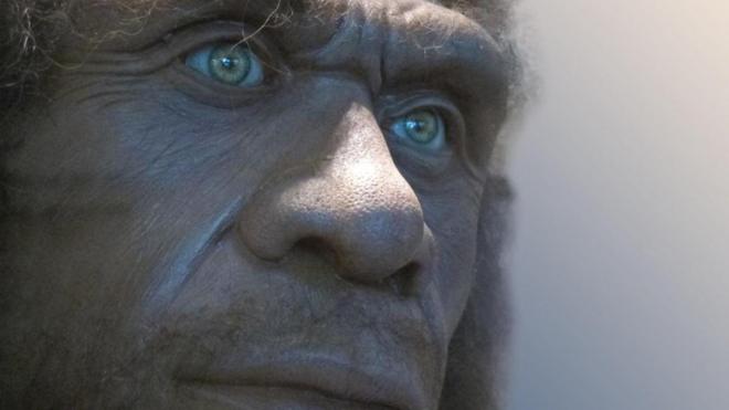 O homem de Neandertal