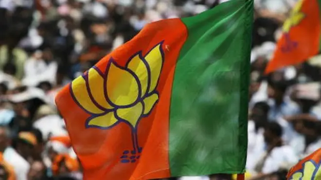 ભાજપનો ઝંડો