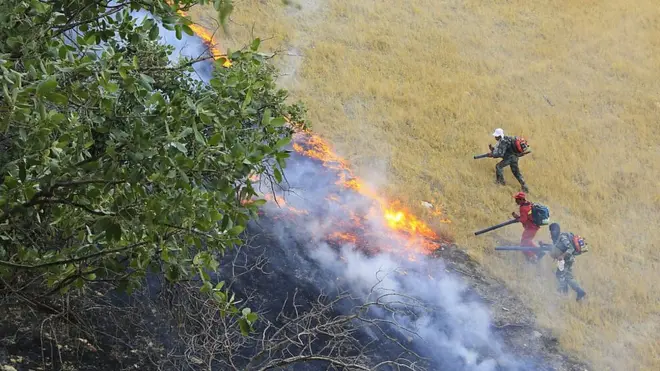 منشاء آتش‌سوزی در شبه جزیره میانکاله در ابهام