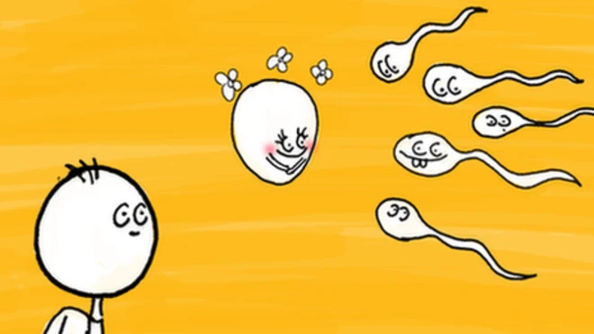 بويضة وحيوانات منوية - رسم كرتوني