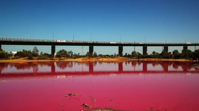Este lago salado hecho por el hombre en Westgate Park, Melbourne, ha adquirido un intenso color rosado en las últimas semanas.