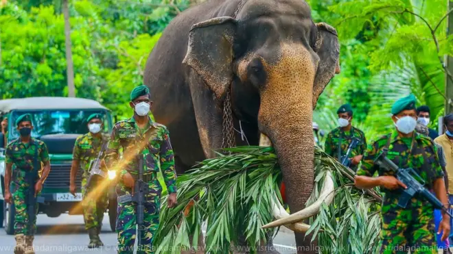 Copy rights Sri Dalada Maligawa