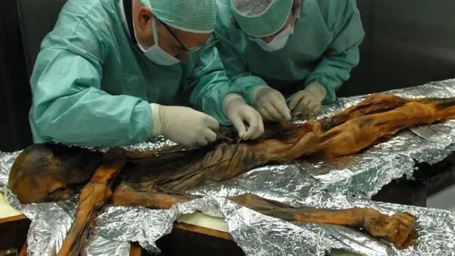 La momia fue descubierta en los Alpes italianos hace más de dos décadas y es la más antigua preservada en hielo de la que se tiene conocimiento.