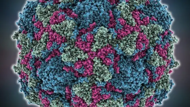 فلج کودکان بیماری غیرقابل درمان اما با واکنش قابل پیشگیری است