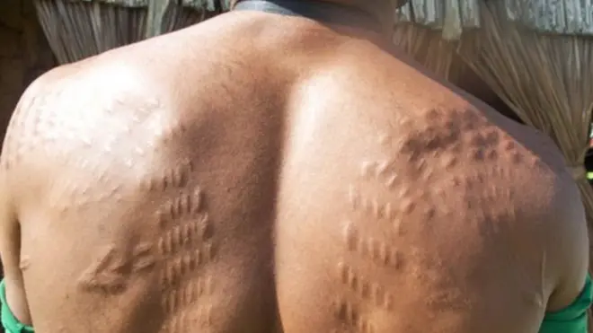 buaya, papua nugini, tradisional, kulit