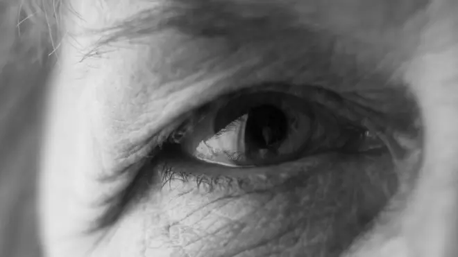 Imagina mirar objetos rodeados de lineas