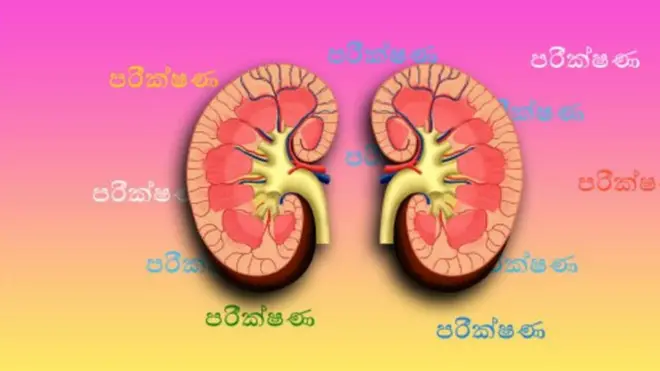 ශ්‍රී ලාංකික ජනතාව දැනට පරිභෝජනය කරන ආහාර අතරින් සියයට හතලිස් පහක කැඩ්මියම් ප්‍රතිශතයක් සහල් වල දැකිය හැකි බවයි පැවසෙන්නේ