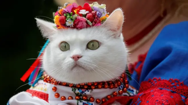 марш вишиванок