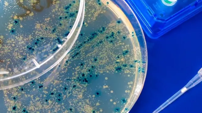 (圖片來源: Alamy)